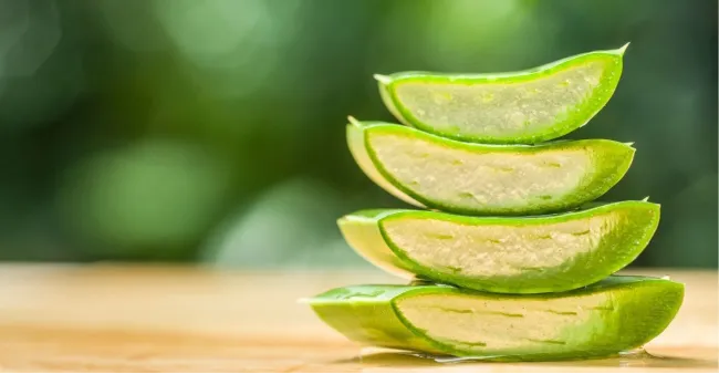 Aloe vera: síla přírody, která pečuje o vaši pokožku