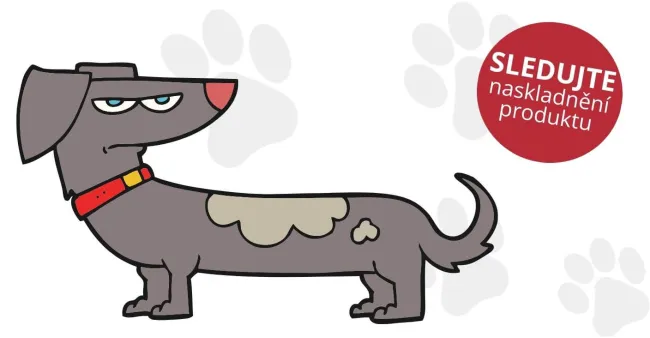 Hlídací pes - novinka na našem e-shopu